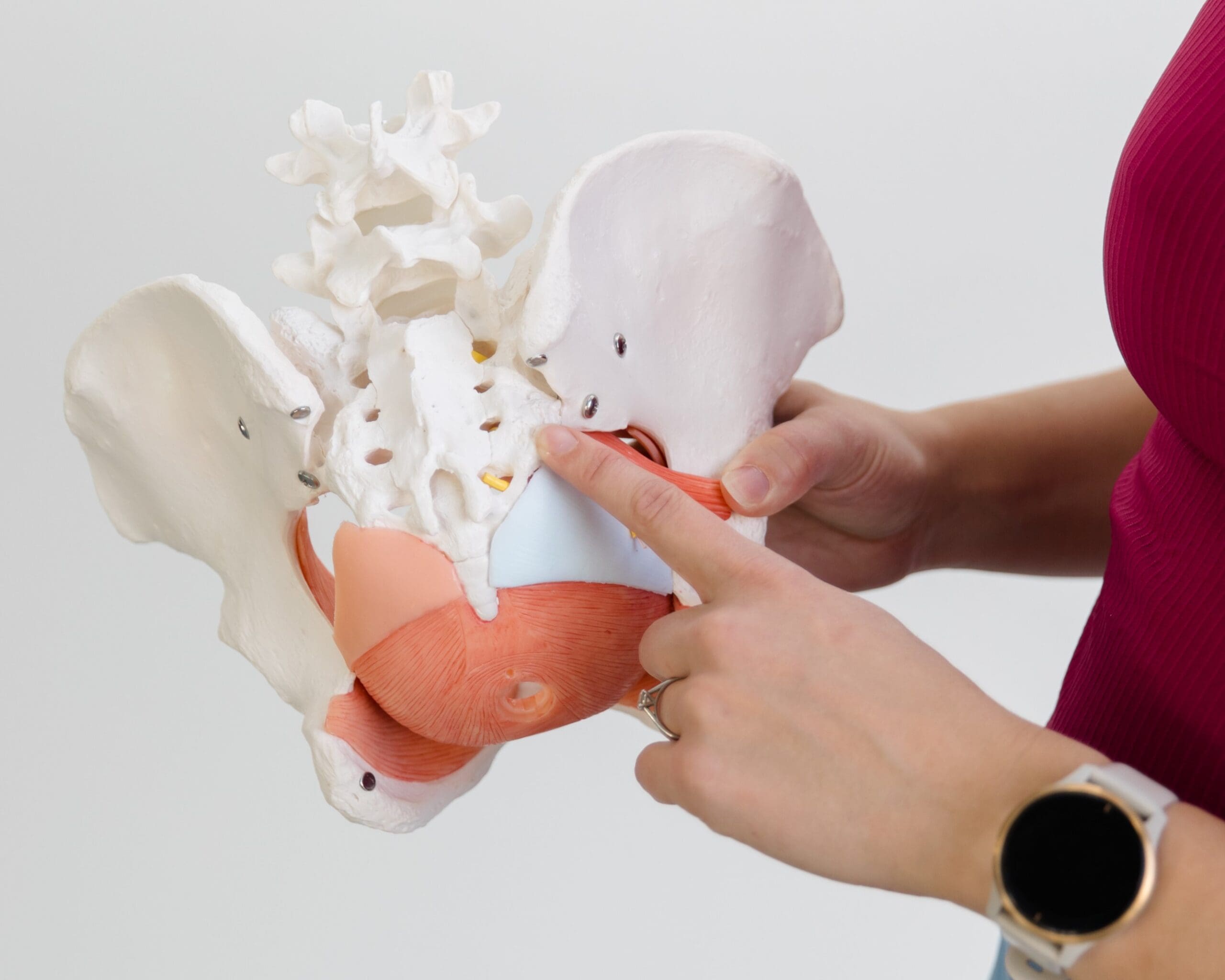 Dr. Emily Tolkamp holding and pointing at a model of a pelvis to explain the role of the pelvic floor in postpartum recovery and strengthening exercises.